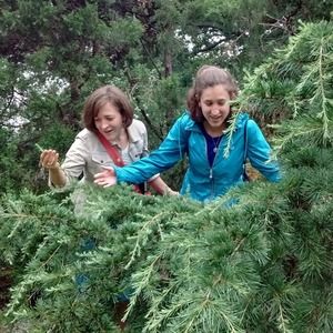 Meet your Posher, Bridget